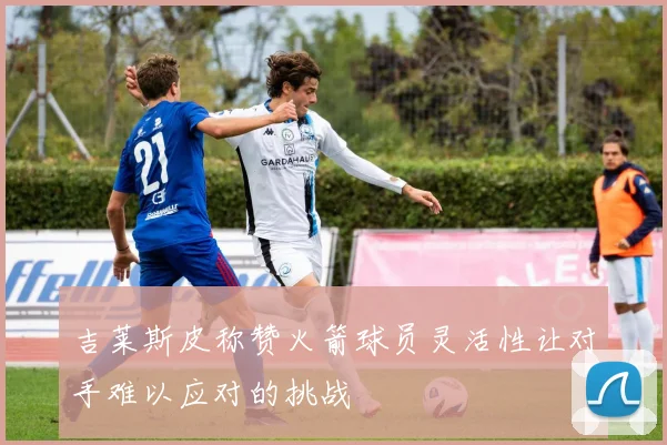 吉莱斯皮称赞火箭球员灵活性让对手难以应对的挑战