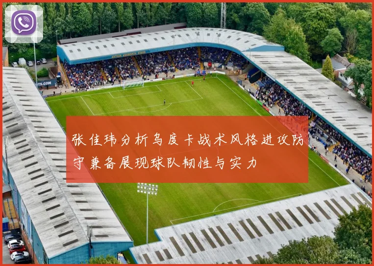 张佳玮分析乌度卡战术风格进攻防守兼备展现球队韧性与实力